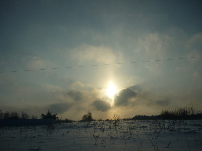 P1200320 (700x525, 265Kb)
