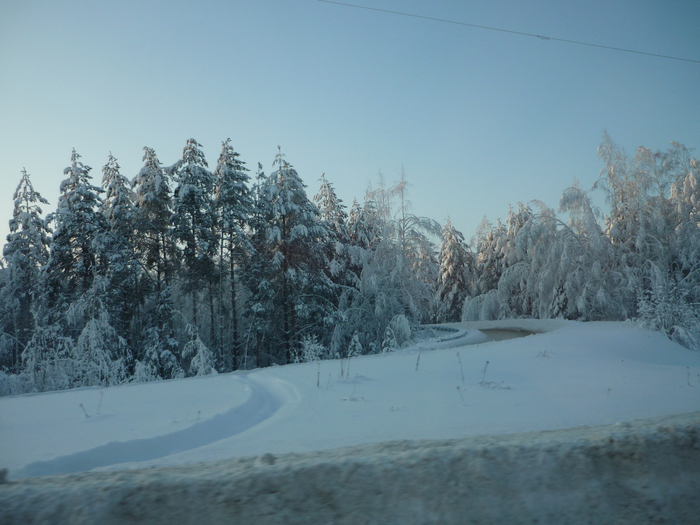 P1200355 (700x525, 414Kb)