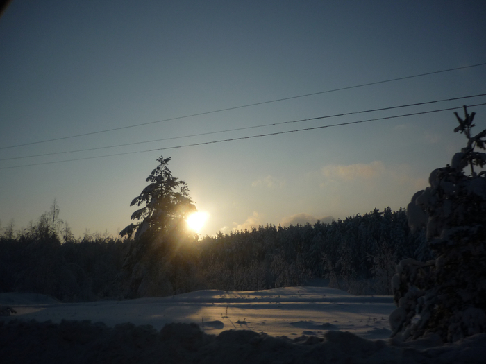 P1200364 (700x525, 276Kb)