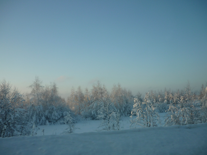P1200382 (700x525, 360Kb)