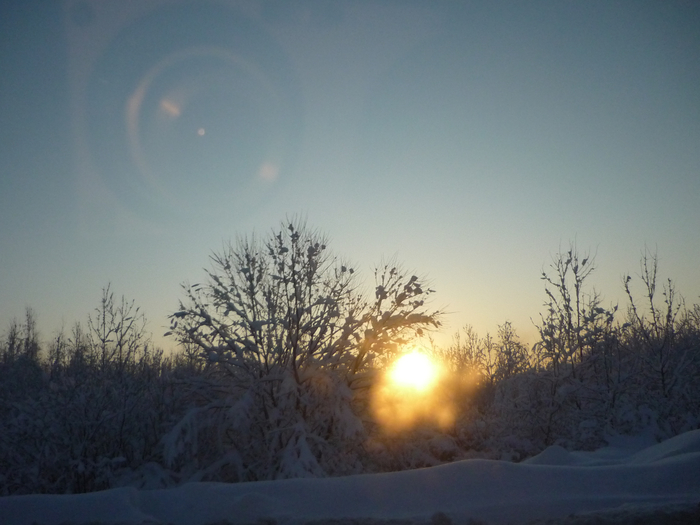 P1200409 (700x525, 303Kb)