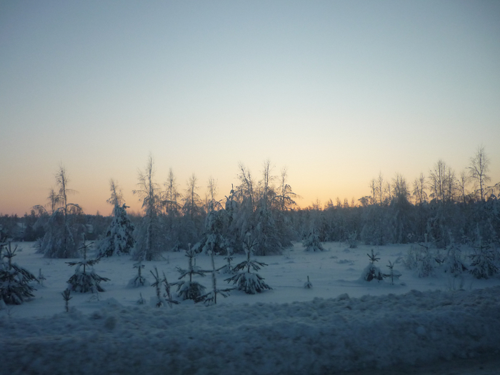 P1200446 (700x525, 283Kb)