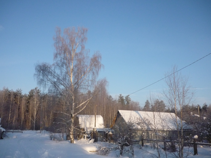 P1200467 (700x525, 340Kb)