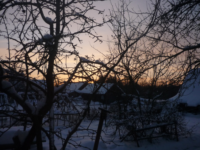 P1200495 (700x525, 488Kb)