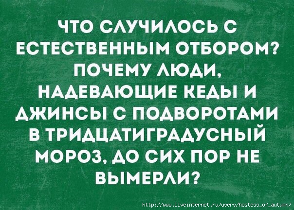 2754954_e_FCzBPtnY8 (604x432, 201Kb)