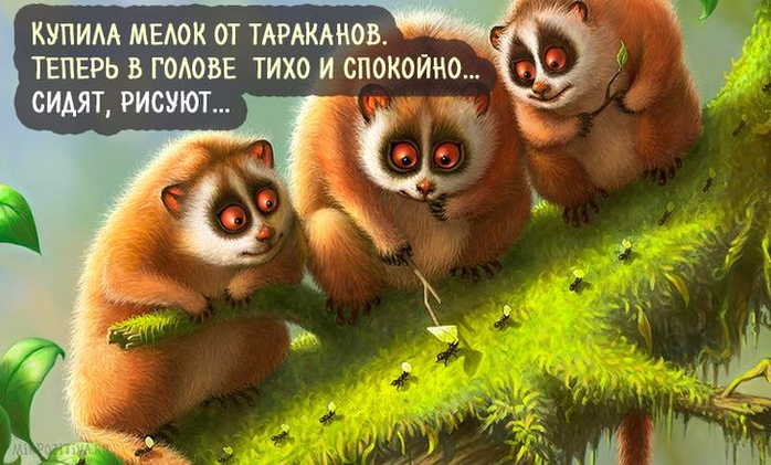 15 (700x421, 372Kb)