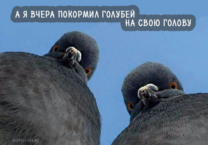 19 (700x489, 241Kb)