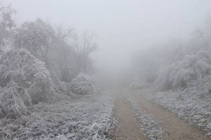 belaya_smert1 (700x465, 41Kb)