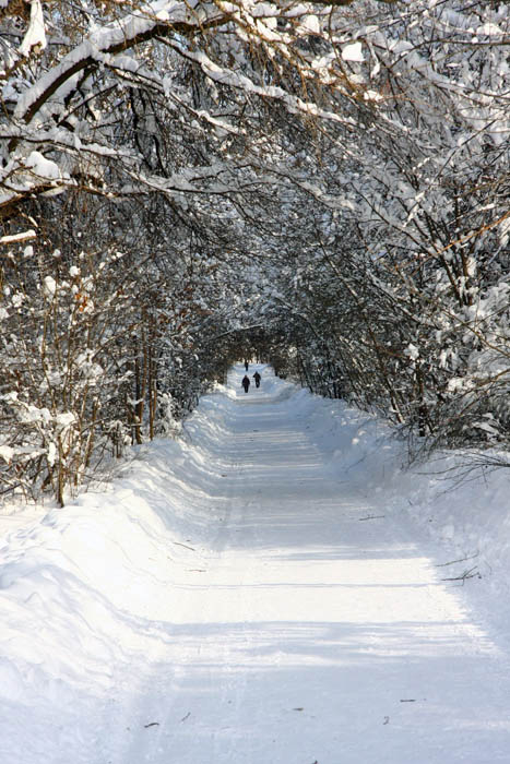 Зима - Москва Парк Кусково от Димы (467x700, 237Kb)