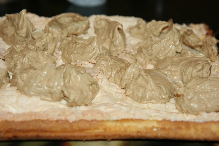 3937411_ochenvkusnyepirozhnyeskokosomiprosloykoybezeugostitesvoihgosteyneobychnymlakomstvom11 (700x466, 201Kb)
