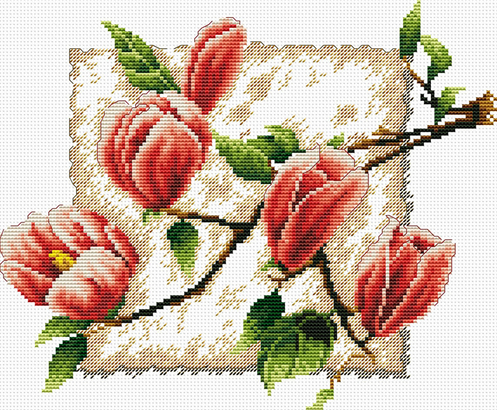 A Magnolia (700x577, 665Kb)