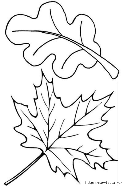 Ежик в осенних листьях. Шаблоны (4) (403x604, 88Kb)