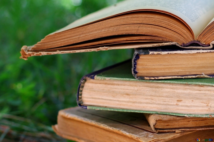 3571750_bookbookssmart34889_1_ (700x466, 226Kb)