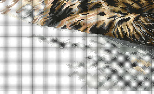 000 (604x368, 83Kb)