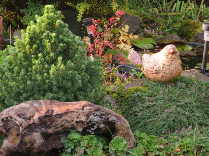 IMG_0020 (700x525, 602Kb)