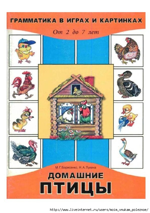 Borisenko_M_G_Lukina_N_A_Domashnie_ptitsy_grammatika_v_igrakh_i_kartinkakh_1 (494x700, 249Kb)