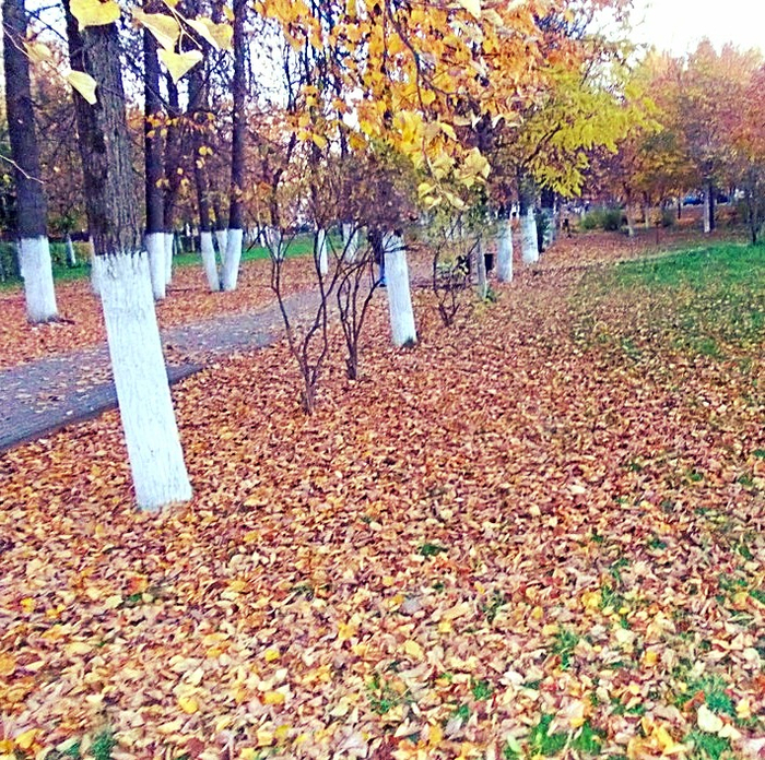 photofacefun_com_1539967473 (700x696, 803Kb)