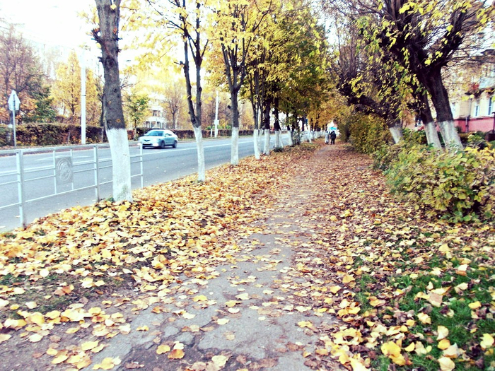 photofacefun_com_1539903210 (700x525, 599Kb)