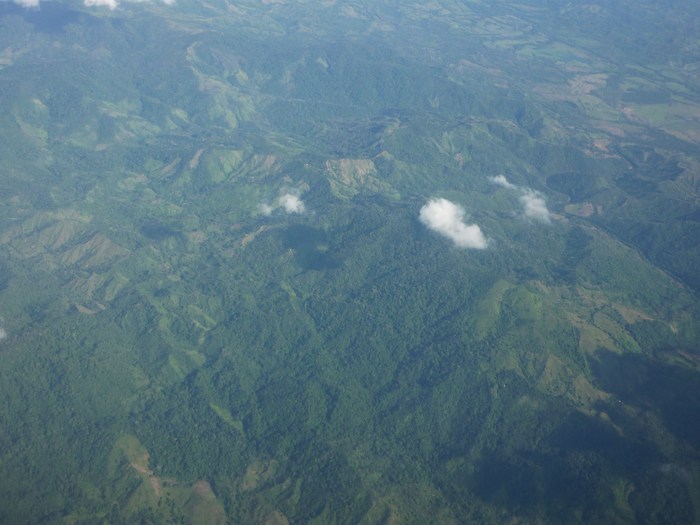 P1190312 (700x525, 458Kb)