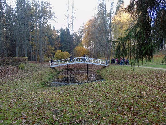 DSC01971 (700x525, 436Kb)