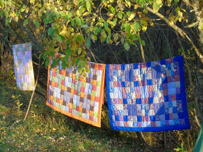 DSC01979 (700x525, 555Kb)