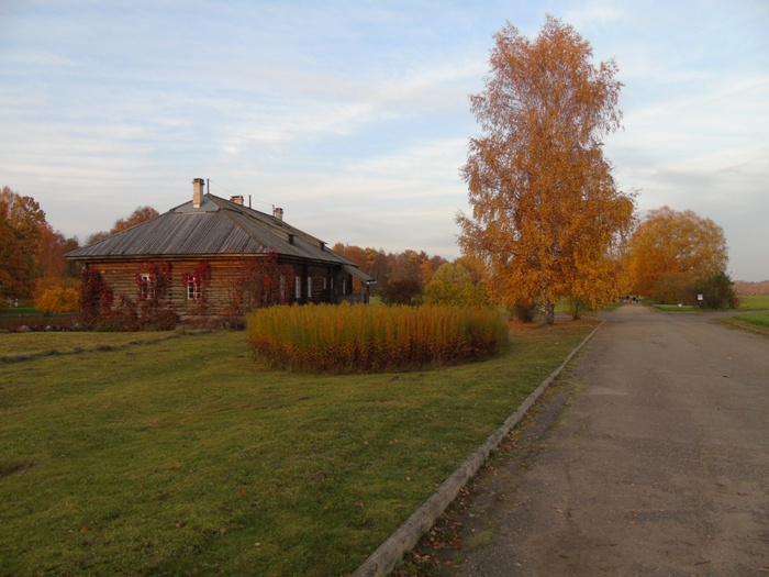 DSC01994 (700x525, 334Kb)