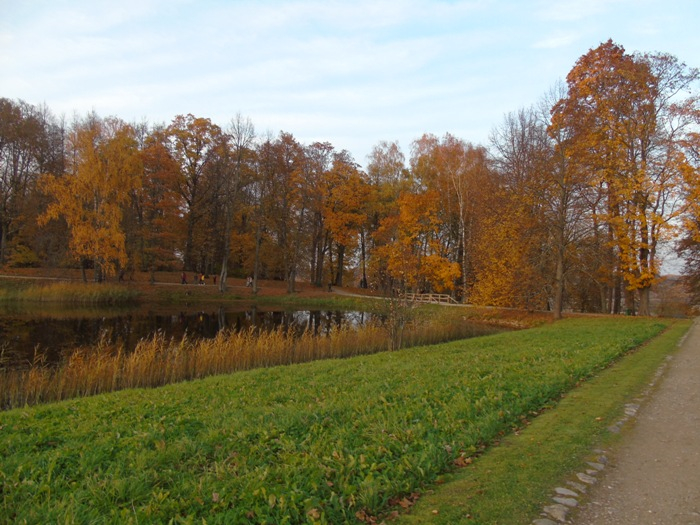 DSC02001 (700x525, 412Kb)