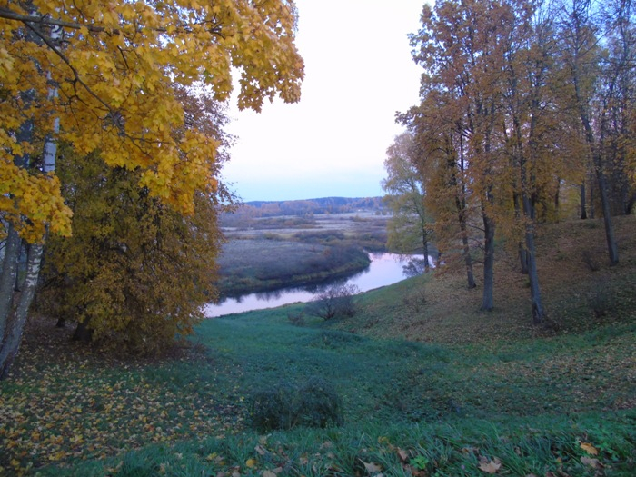 DSC02018 (700x525, 447Kb)