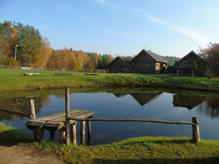 DSC02154 (700x525, 354Kb)