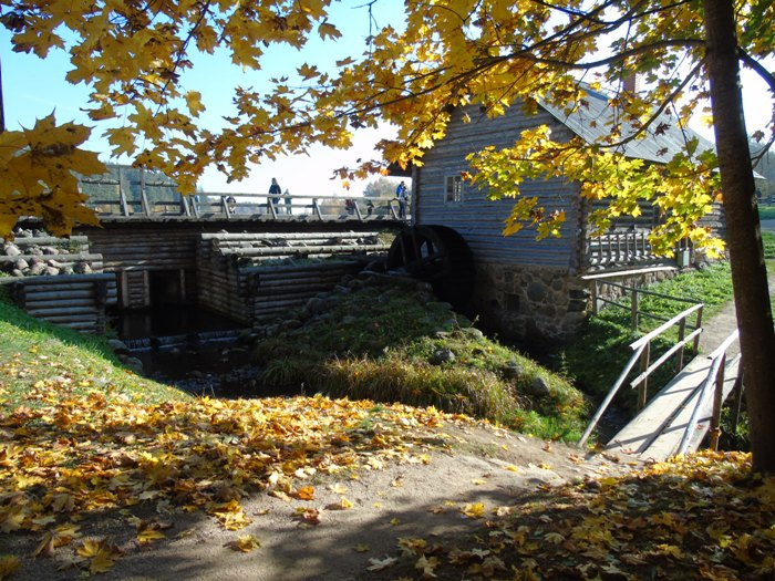 DSC02240 (700x525, 539Kb)