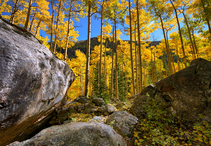 Forests_Autumn_Crag_468132 (700x486, 718Kb)