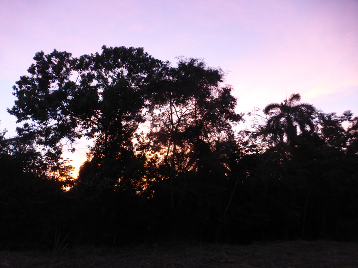 P1340214 (700x525, 384Kb)