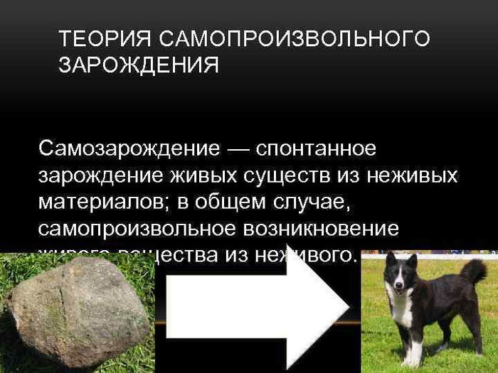 image-3 (700x525, 207Kb)