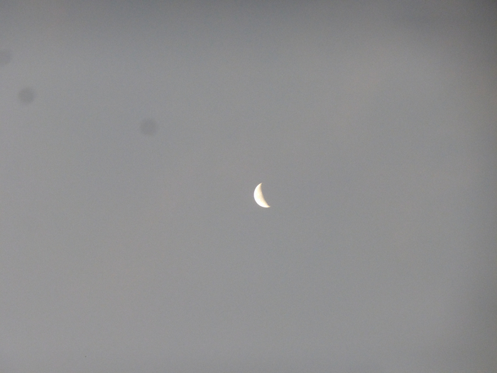 P1340222 (700x525, 229Kb)