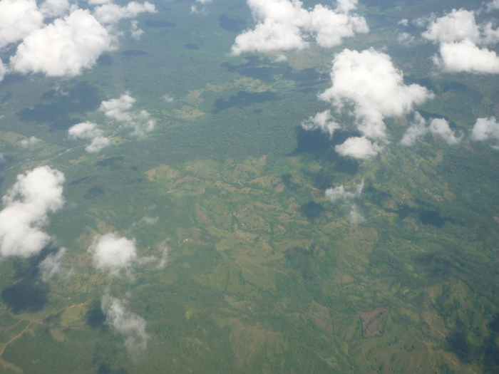 P1190403 (700x525, 377Kb)