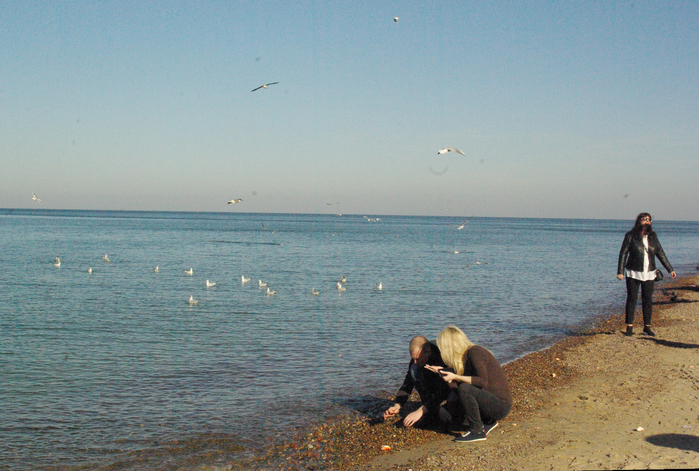 IMGP9457 (700x471, 484Kb)
