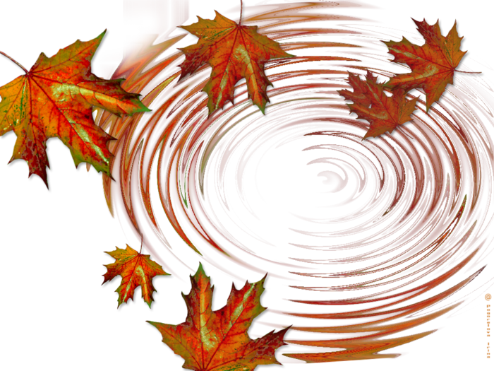  -2 (700x525, 609Kb)