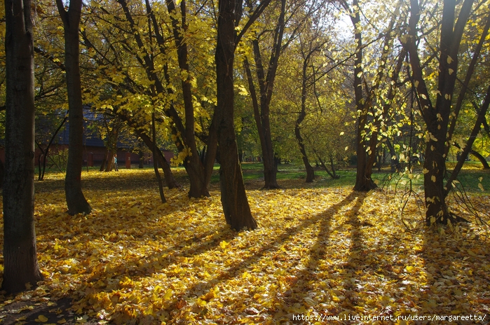 Осень - Рыбинск или нет от Маргариты (699x464, 510Kb)
