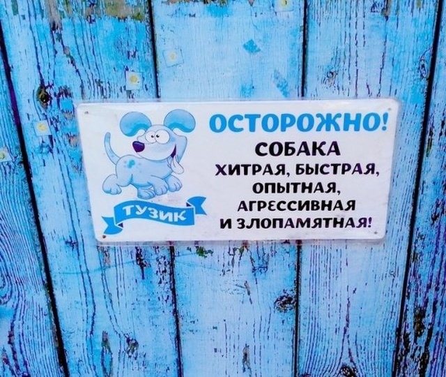 OyJMf0yXtM0 (640x540, 122Kb)