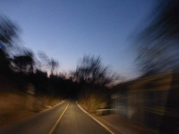 P1340403 (700x525, 281Kb)