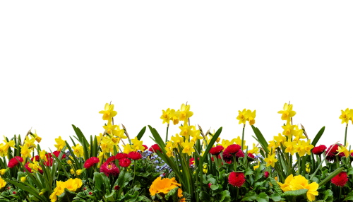 1 (25) (500x286, 143Kb)