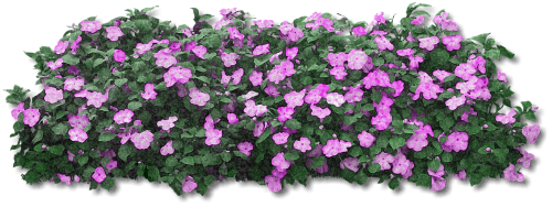 1 (29) (500x188, 203Kb)