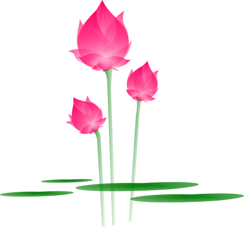 1 (41) (500x464, 63Kb)