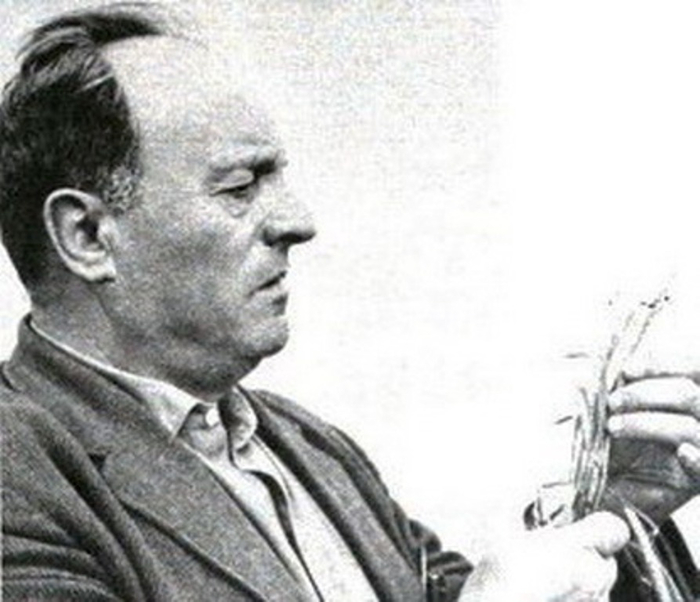 Modin0 (700x602, 232Kb)