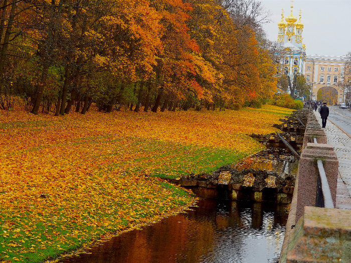 DSC07804 (700x525, 730Kb)