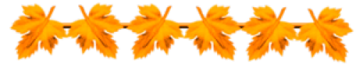 1 (1) (500x100, 48Kb)