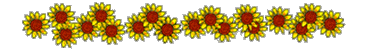 1 (5) (371x50, 11Kb)