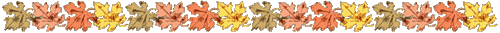 1 (6) (500x33, 13Kb)
