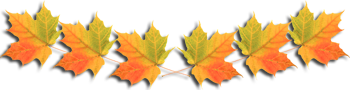 1 (12) (350x90, 51Kb)