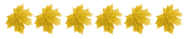 1 (16) (374x79, 9Kb)